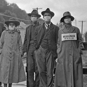 Meet your Posher, Lynne